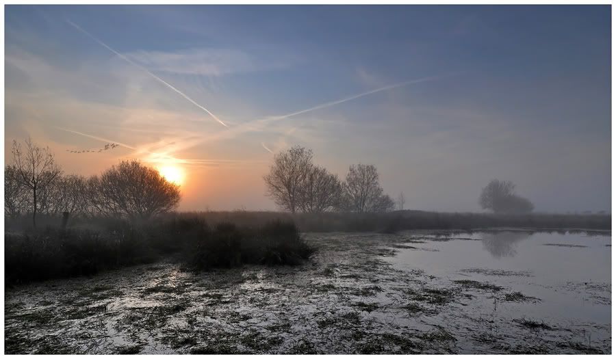 Fotografie