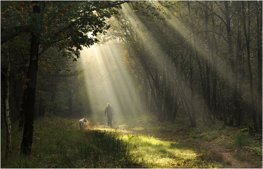Fotografie