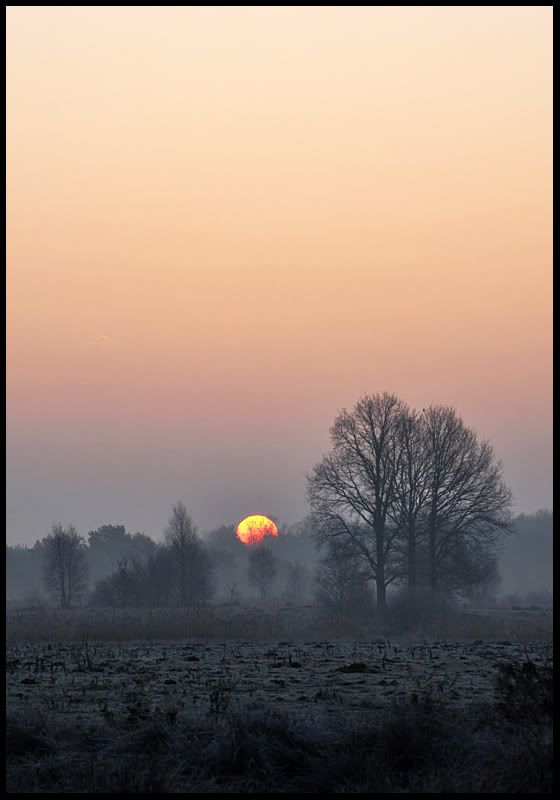 Fotografie
