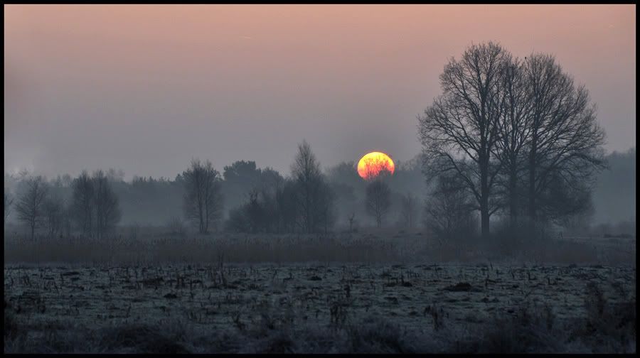 Fotografie