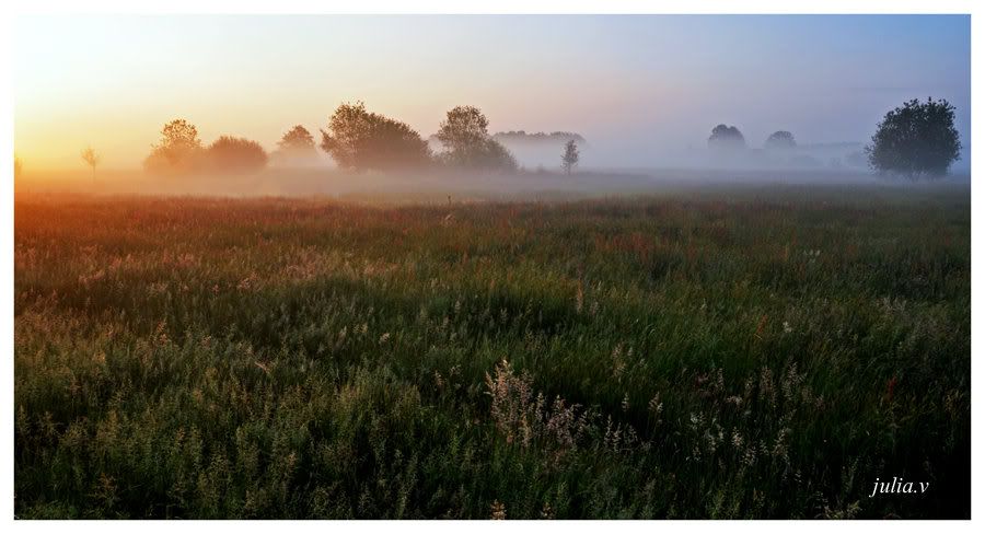Fotografie