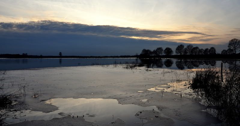 Fotografie