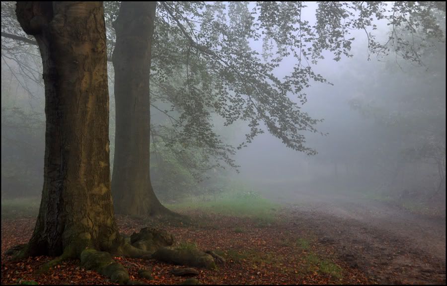Fotografie