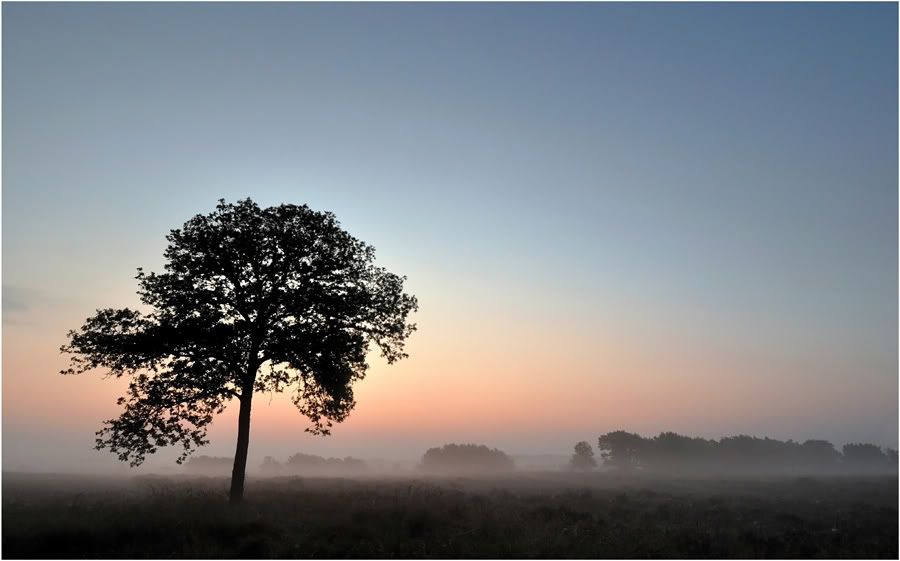 Fotografie