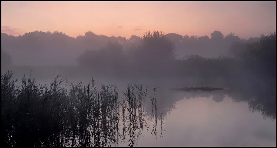 Fotografie