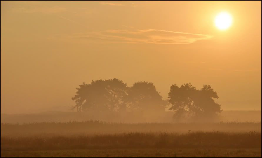 Fotografie