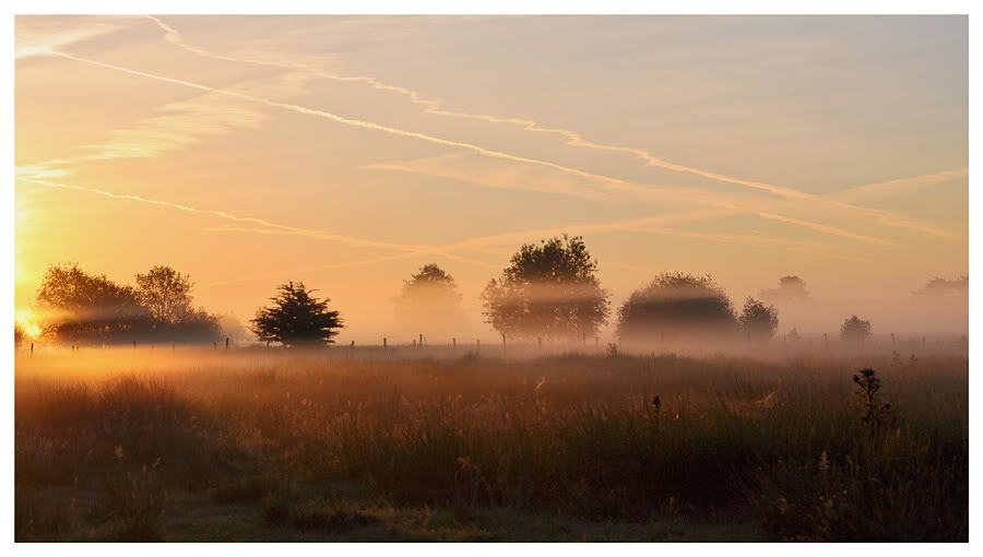 Fotografie