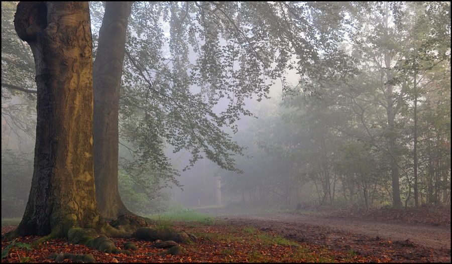 Fotografie