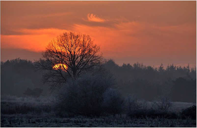 Fotografie