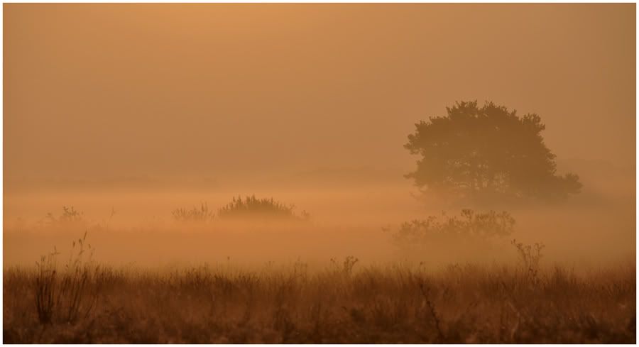 Fotografie