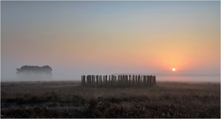 Fotografie
