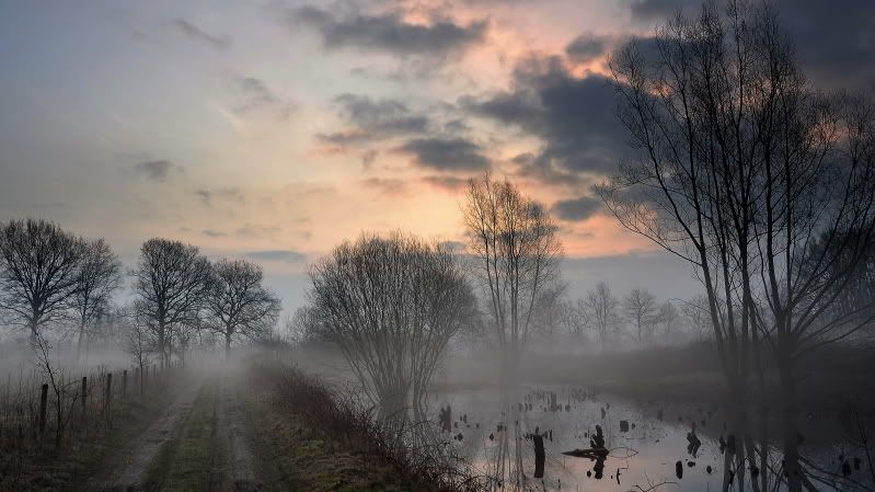 Fotografie