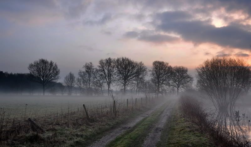 Fotografie