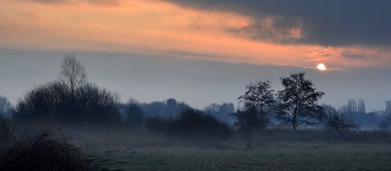 Fotografie