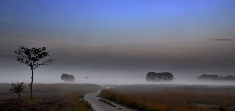 Fotografie