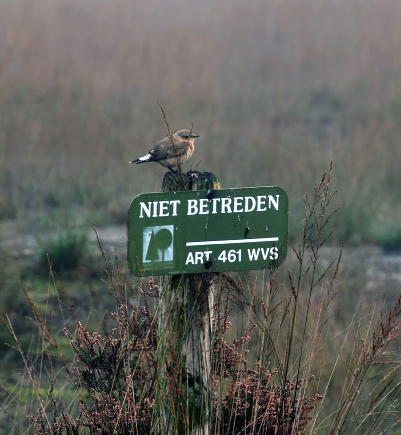 Fotografie