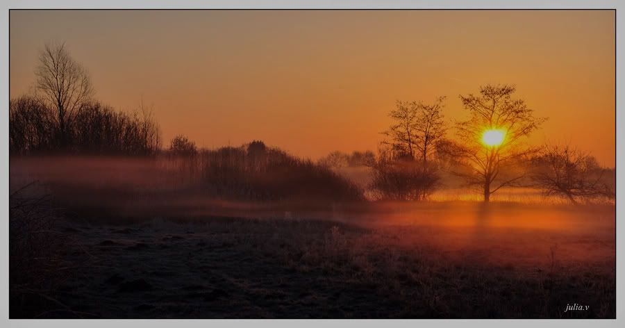Fotografie