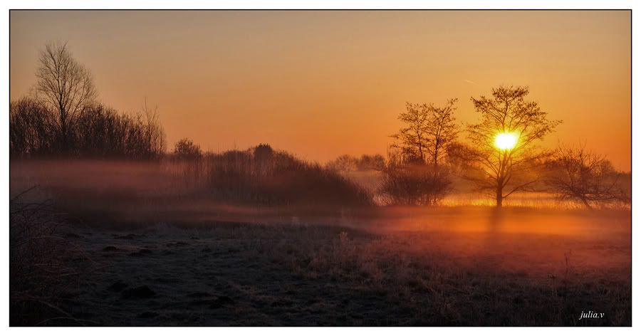 Fotografie