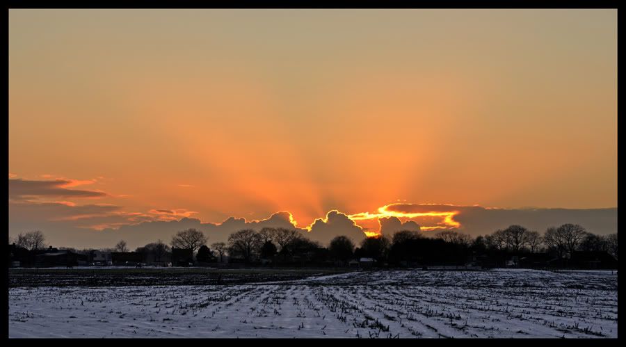 Fotografie