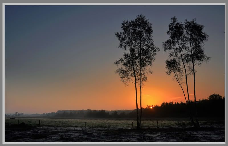 Fotografie