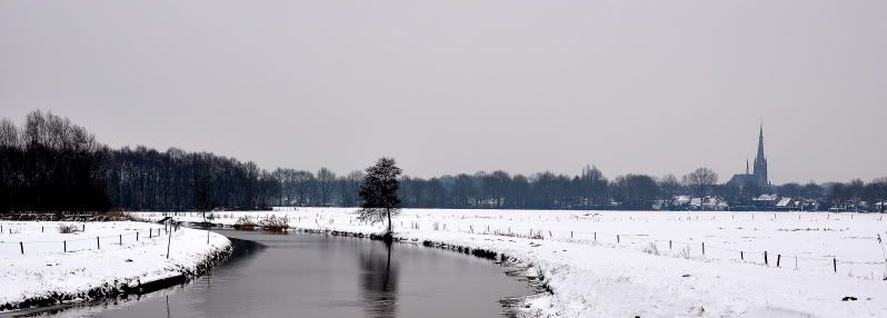 Fotografie
