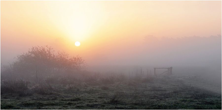 Fotografie