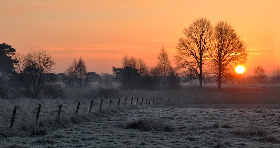 Fotografie