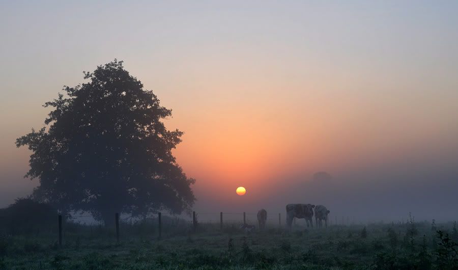 Fotografie
