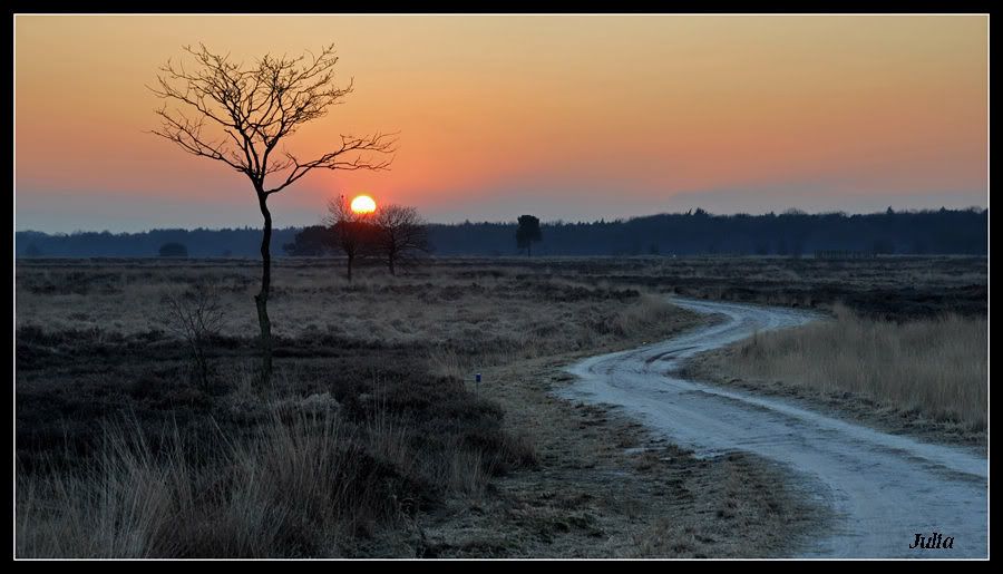 Fotografie