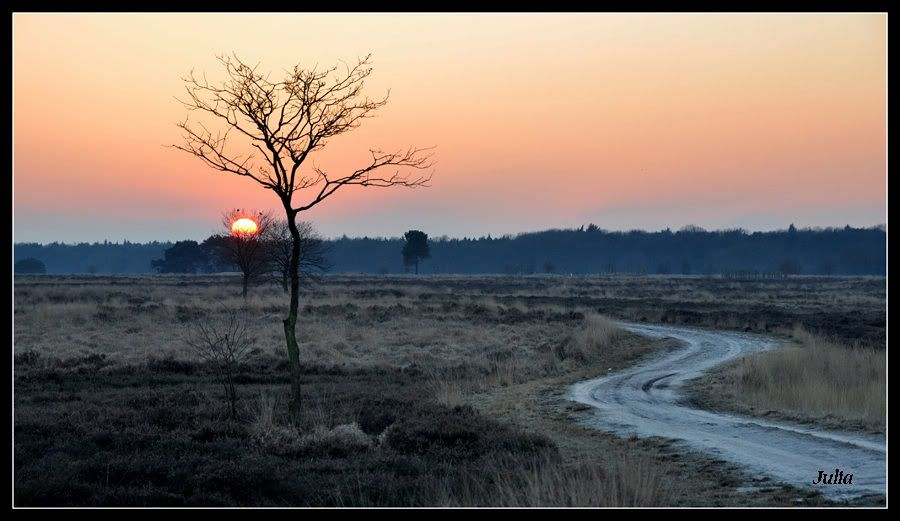 Fotografie
