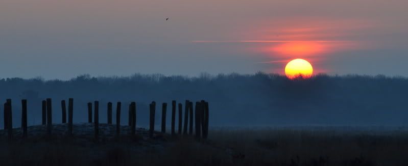 Fotografie