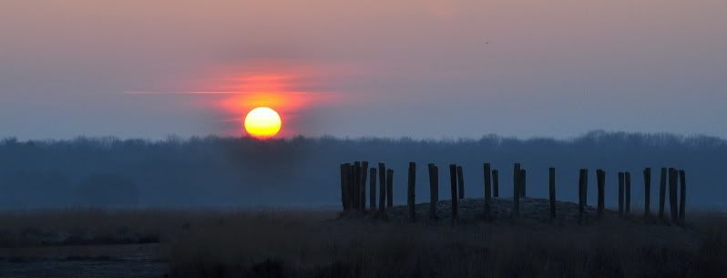 Fotografie