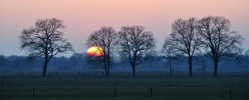 Fotografie