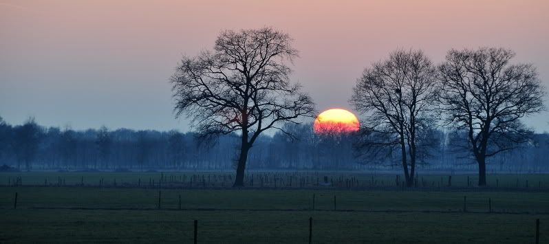 Fotografie