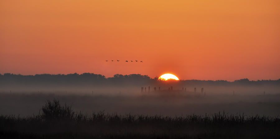 Fotografie
