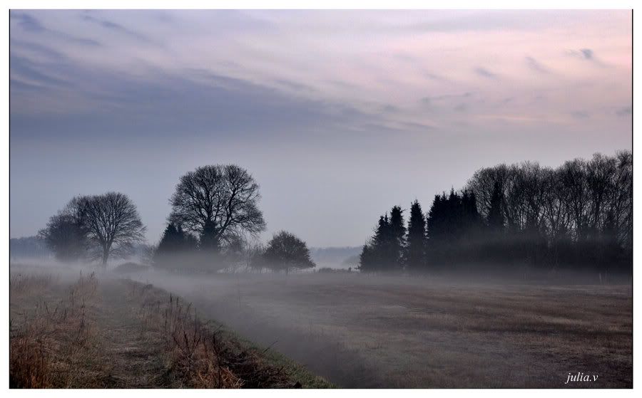 Fotografie