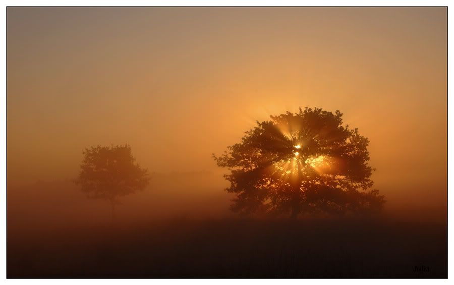 Fotografie