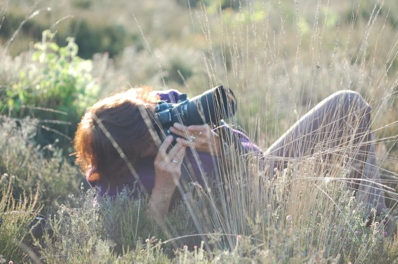 Fotografie