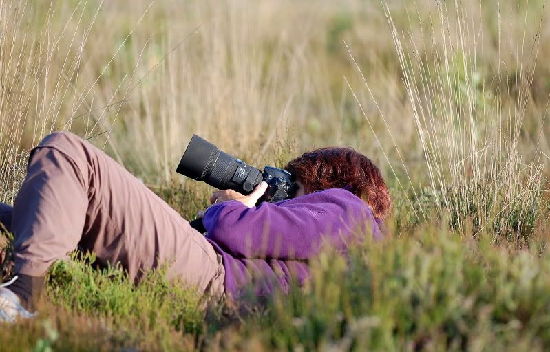Fotografie