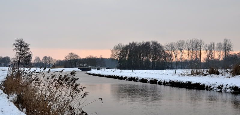 Fotografie