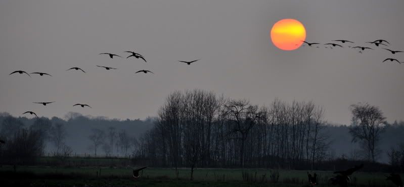 Fotografie