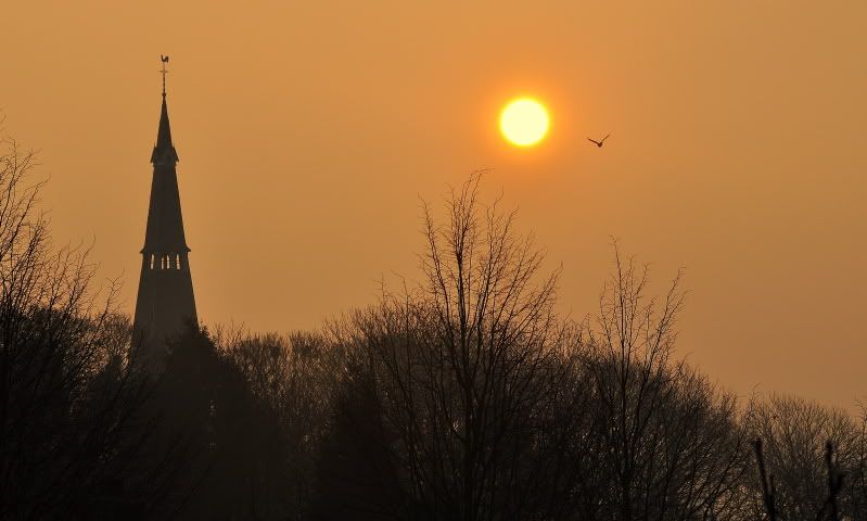 Fotografie