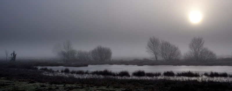 Fotografie