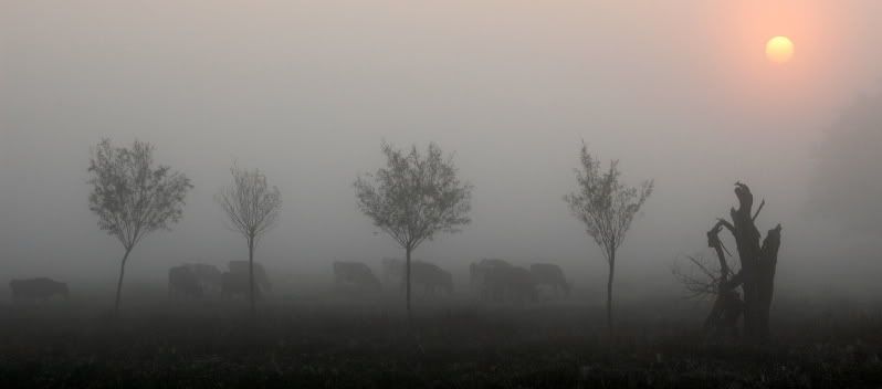 Fotografie
