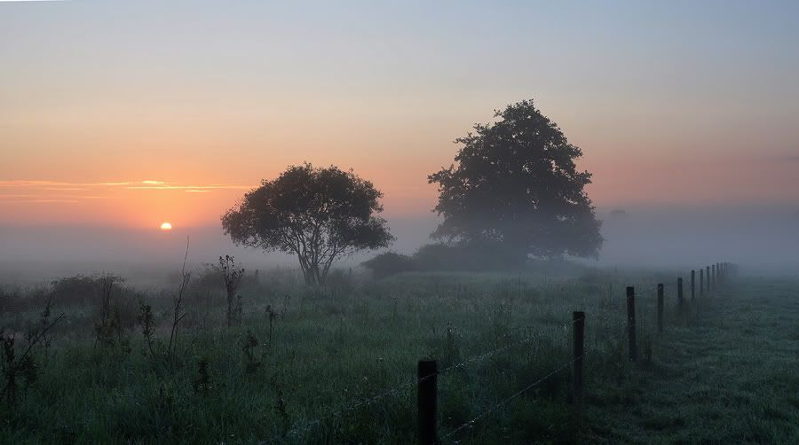 Fotografie
