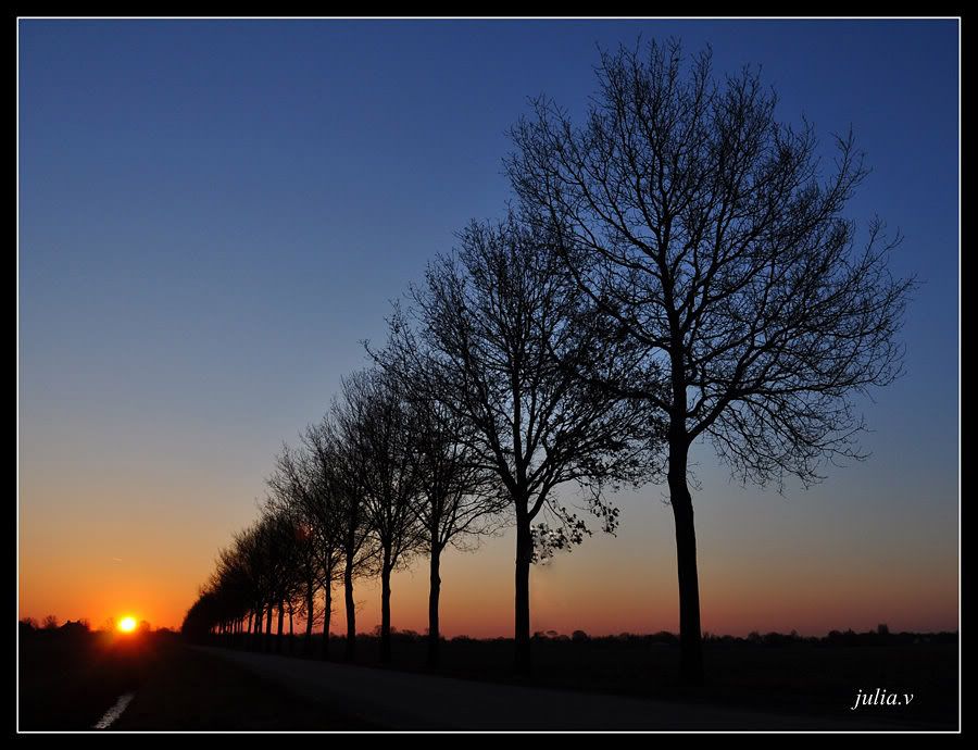 Fotografie