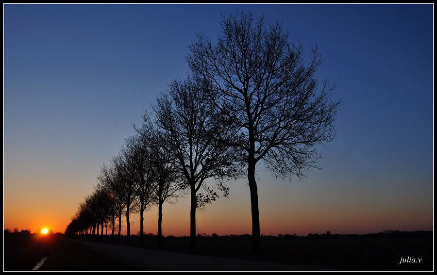 Fotografie