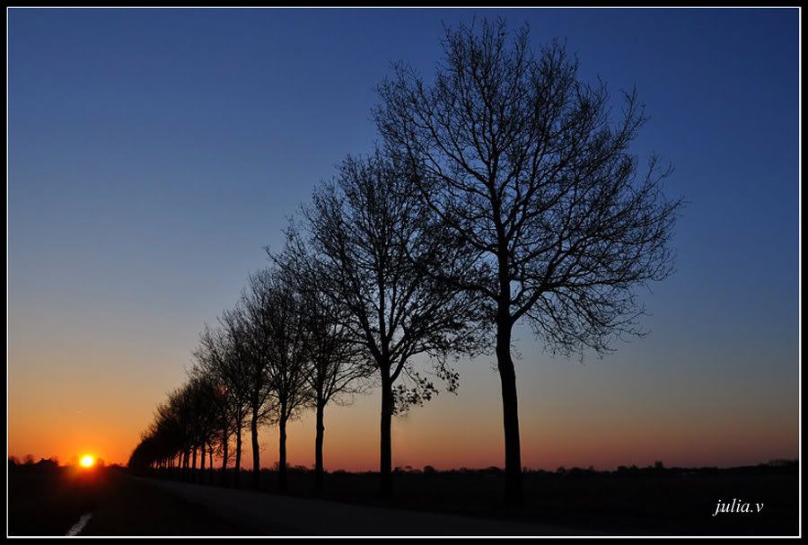 Fotografie