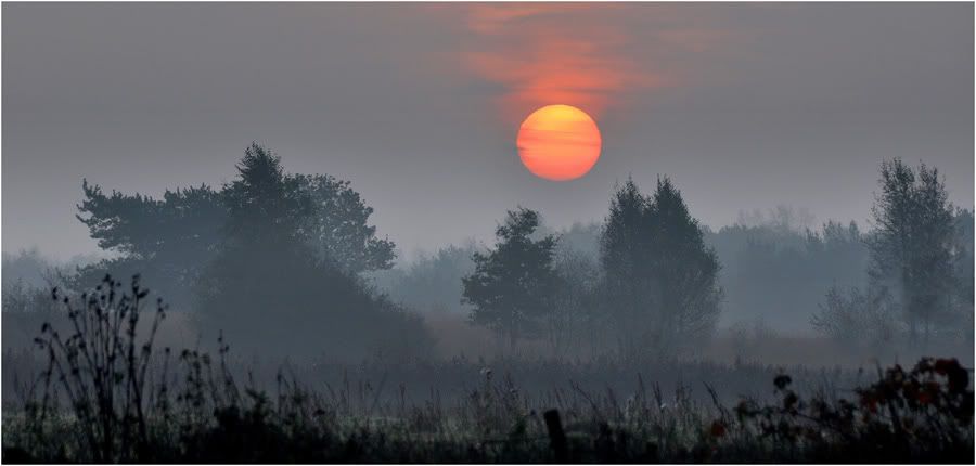 Fotografie