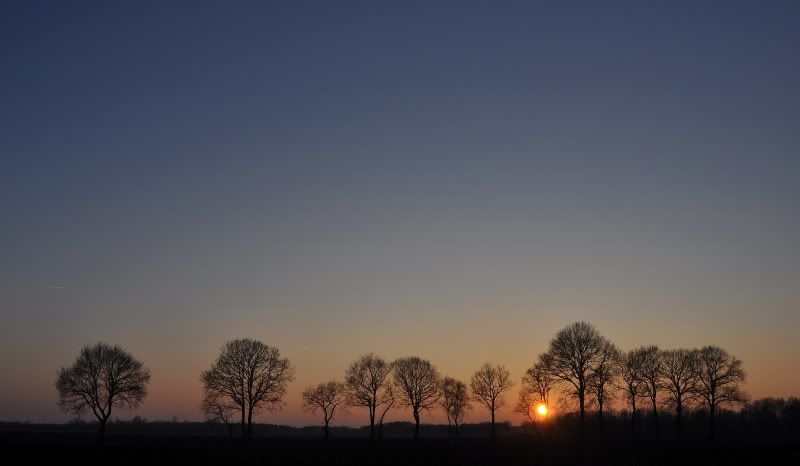 Fotografie